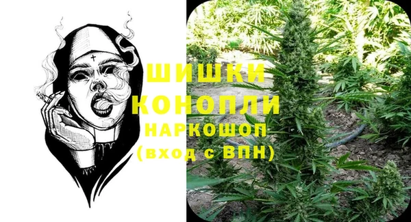 индика Осинники