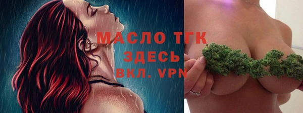 индика Осинники
