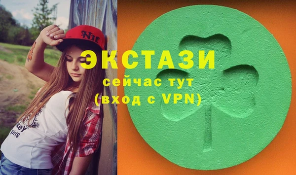 индика Осинники