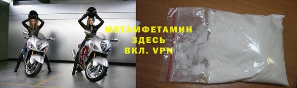 индика Осинники