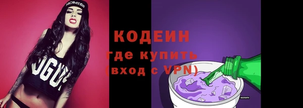 индика Осинники