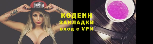 индика Осинники