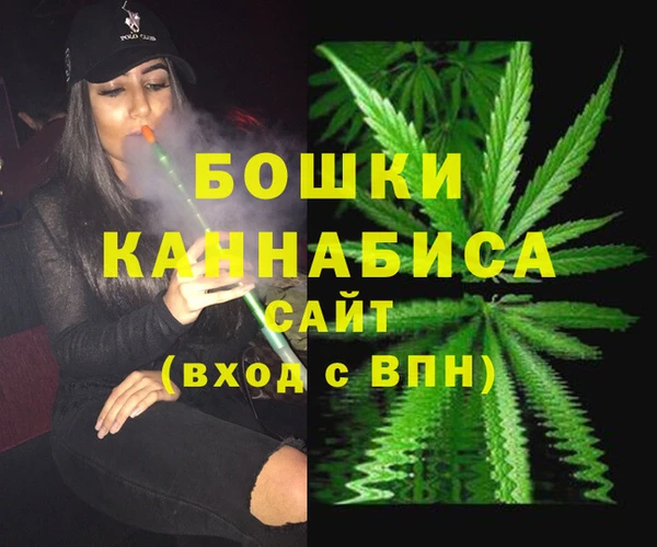 прущий лед Пестово