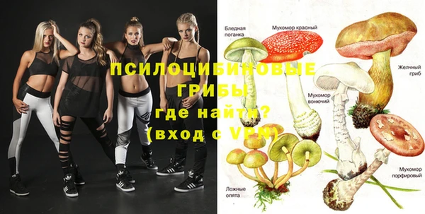 ешки Гатчина