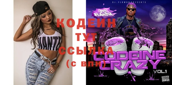 индика Осинники