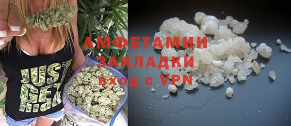 индика Осинники