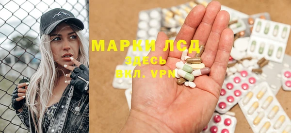ПСИЛОЦИБИНОВЫЕ ГРИБЫ Пересвет