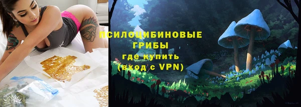 ПСИЛОЦИБИНОВЫЕ ГРИБЫ Пересвет
